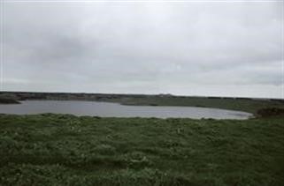 "Viagra Cialis Dosage Comparison