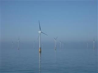 "Costo Viagra Da 100mg