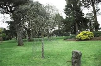 "How Much Viagra Can You Take