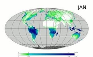 "Female Viagras in Pakistan Are There Animals in Big