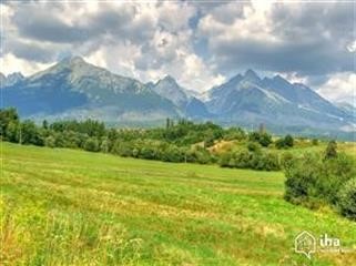 "Viagra Buy Online in Pakistan Are There Animals on Mars