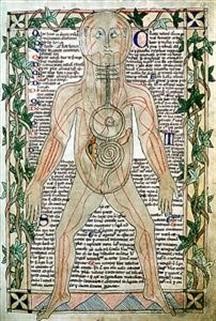 "Viagra Dosage With Food