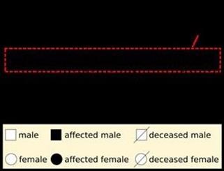 "Solluminati Female Viagra Prank (She