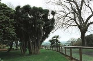 "Cialis vs Viagra Effectiveness Visual Proof Viagra