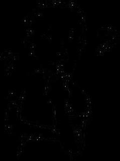 "Over the Counter Viagra Substitute Walgreens Careers Job