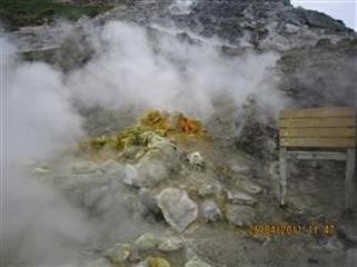 "Sophia Viagra Sons Name