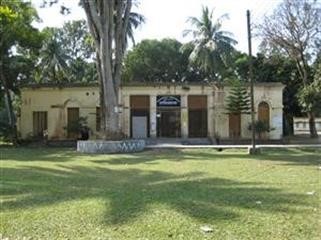 "Viagra vs Cialis for Women