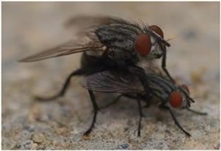 "How Much Do Viagra Tablets Cost