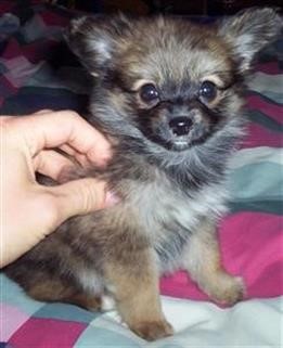 "Viagra 100mg Price With Insurance