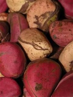 "Viagra Pill Price in Bangladesh Huawei